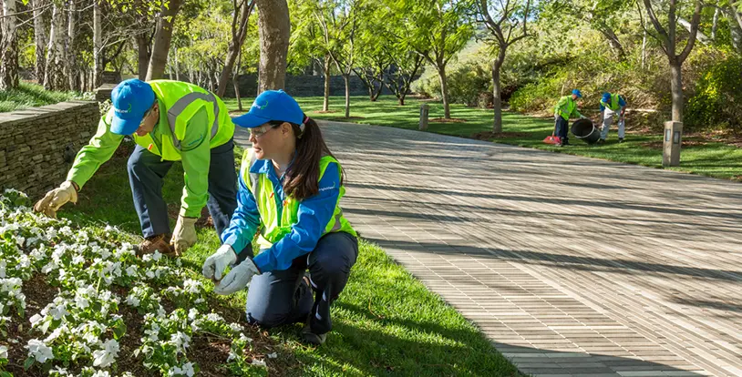 Addressing Labor and Equipment Shortages